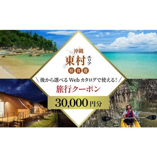 ふるさと納税 旅行 沖縄県 東村 旅行クーポン 沖縄やんばる東村 後から選べる旅行Webカタログ3万円分 沖縄 観光 旅行 やんばる 北部 グルメ ファミリー カッ…