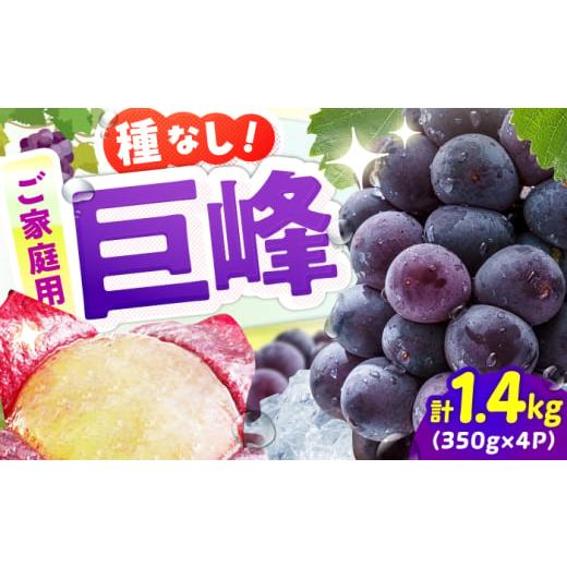 ふるさと納税 ぶどう 巨峰 福岡県 広川町 先行予約 2026年7月下旬より発送 ご家庭用 種無し巨峰 約350g×4パック 果物 くだもの ぶどう ブドウ 広川町 / J…