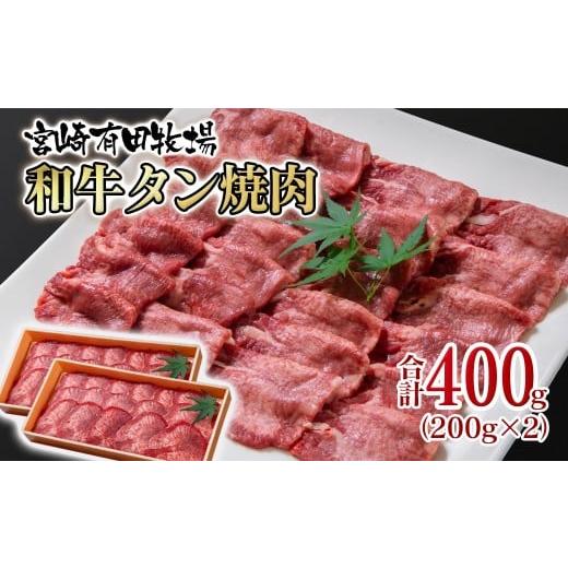 ふるさと納税 牛肉 すき焼き 宮崎県 西都市 個数限定 黒毛和牛タン400g (200g×2)小分け 焼肉 牛肉 鉄板焼肉 焼きしゃぶ すき焼き肉 国産牛タン 2-17 有田…
