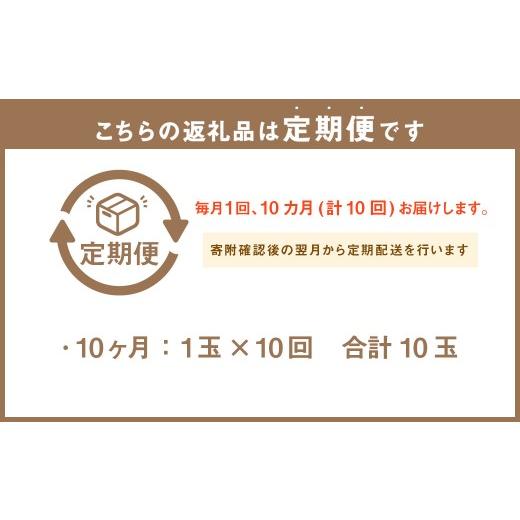 ふるさと納税 メロン メロン青肉 静岡県 菊川市  10ヶ月定期便 静岡県産 高級アローマメロン 小玉 1玉（約0.9kg以上） 化粧箱入 メロン めろん くだもの 果物 …_2