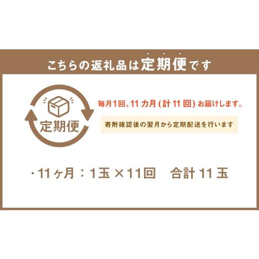ふるさと納税 メロン メロン青肉 静岡県 菊川市  11ヶ月定期便 静岡県産 高級アローマメロン 小玉 1玉（約0.9kg以上） 化粧箱入 メロン めろん くだもの 果物 …_2
