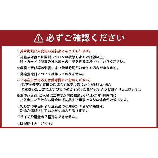 ふるさと納税 メロン メロン青肉 静岡県 菊川市  11ヶ月定期便 静岡県産 高級アローマメロン 小玉 1玉（約0.9kg以上） 化粧箱入 メロン めろん くだもの 果物 …_4