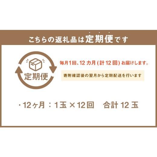 ふるさと納税 メロン メロン青肉 静岡県 菊川市  12ヶ月定期便 静岡県産 高級アローマメロン 小玉 1玉（約0.9kg以上） 化粧箱入 メロン めろん くだもの 果物 …_2