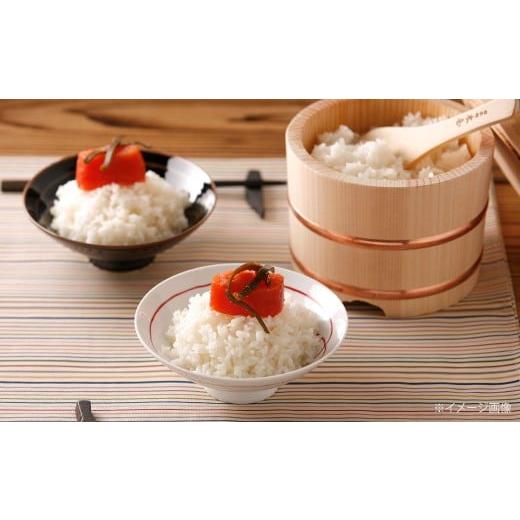 ふるさと納税 魚貝類 明太子 福岡県 北九州市  6カ月定期便 無着色 昆布漬 辛子めんたい 『訳あり』 約500g×6回 計約3kg 毎月お届け 辛子明太子 辛子めんたい…の画像