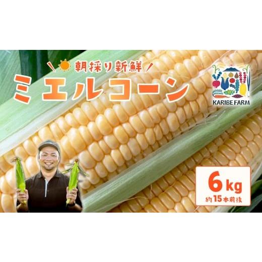 ふるさと納税 とうもろこし 茨城県 下妻市 先行予約 下妻産 朝採りとうもろこし ( ミエルコーン ) 約6kg とうもろこし とうきび トウモロコシ ジューシー …