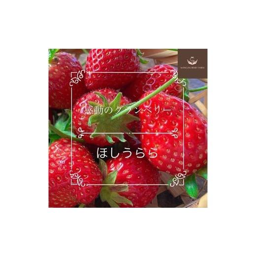 ふるさと納税 いちご 三重県 桑名市 先行予約 完熟 プレミアム いちご 「 グランベリー 」 品種: ほしうらら 2パック (約315g×2パック 計約630g) / 苺 …