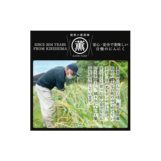 ふるさと納税 調味料・油 鹿児島県 霧島市 K-631 薫の塩?にんにく(500g×2本) 薩摩の薫農園