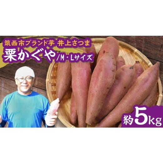 ふるさと納税 じゃがいも・サツマイモ 茨城県 筑西市 よしのいも 井上さつま 「 栗かぐや 」 M・Lサイズ 約5kg ( 土なし ) ブランド芋 完熟 さつまいも いも …