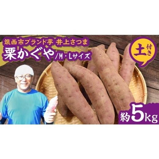ふるさと納税 じゃがいも・サツマイモ 茨城県 筑西市 よしのいも 井上さつま 「 栗かぐや 」 M・Lサイズ 約5kg ( 土付き ) 特別栽培 特別栽培農産物 ブランド…
