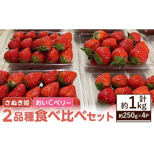 ふるさと納税 いちご 香川県 まんのう町 先行予約 2026年2月上旬以降順次発送予定 いちご2品種食べ比べセット(約250g×4P・約1kg) man347 クズハラ農園