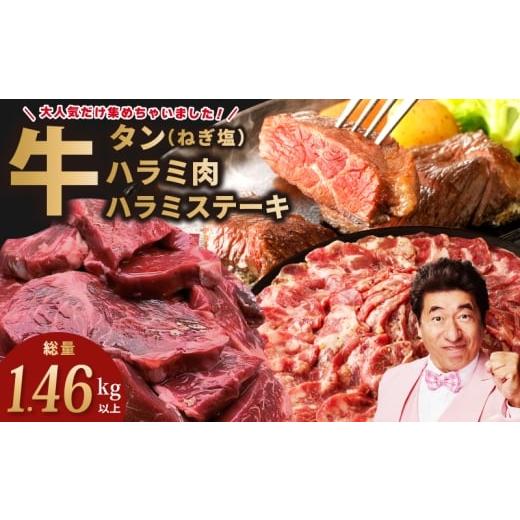 ふるさと納税 牛肉 ホルモン 大阪府 泉佐野市 総量1.46kg以上 アキラ商店の「人気者 」集めちゃいましたセット