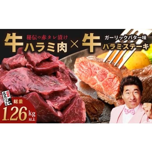 ふるさと納税 牛肉 ホルモン 大阪府 泉佐野市 総量1.26kg以上 ハラミ好きに贈る ハラミだけの満足焼肉セット
