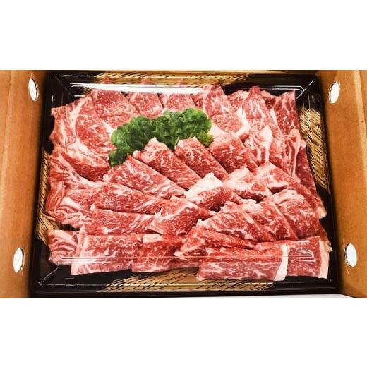 ふるさと納税 牛肉 焼肉・バーベキュー 福岡県 嘉麻市 数量限定博多和牛 ロース焼き肉用 約500g×1パック お取り寄せ グルメ 福岡 お土産 九州 九州産 福岡県…