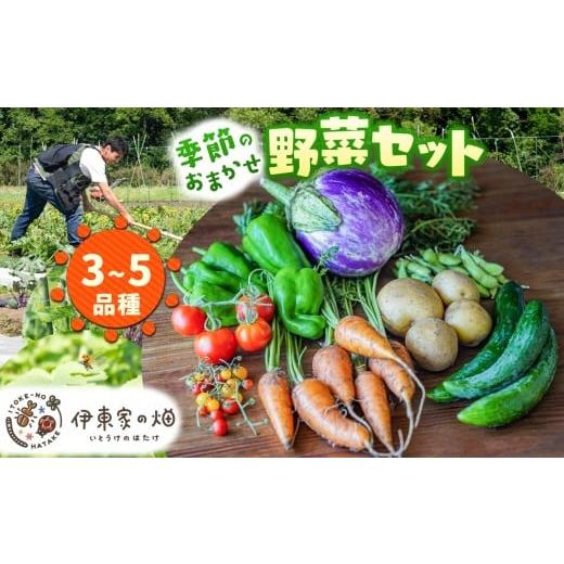 ふるさと納税 野菜類 栃木県 下野市 野菜セット(3〜5品種) | 下野市 旬野菜 詰め合わせ 野菜セット 地元野菜 栃木県産 新鮮野菜 産地直送 野菜通販 季節野菜 …