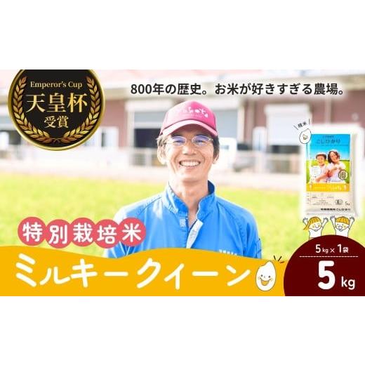 ふるさと納税 米 ミルキークイーン 茨城県 龍ケ崎市 天皇杯受賞 横田農場のミルキークイーン 5kg | ミルキークイーン お米 米 こめ 白米 精米 新米 特別栽培米…