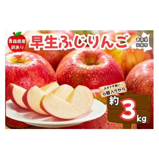 ふるさと納税 りんご 青森県 弘前市 25年10月〜発送 りんご 訳あり ご家庭用 早生ふじ 3kg 青森県産 青森 果物 フルーツ 林檎 リンゴ くだもの