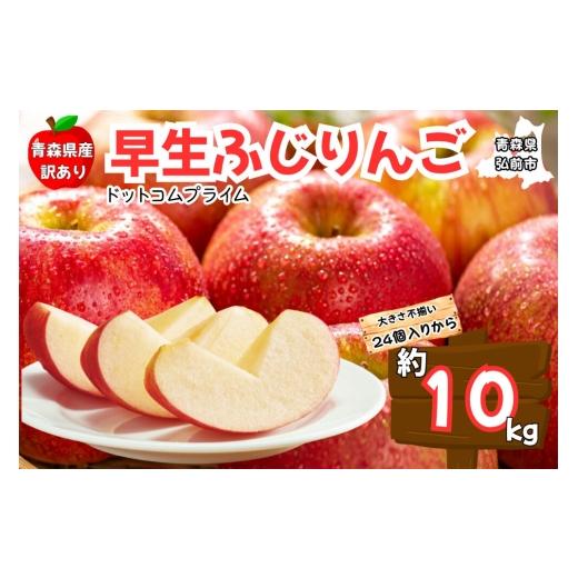 ふるさと納税 りんご 青森県 弘前市 26年10月中旬〜11月下旬発送 りんご 早生ふじ 約10kg 訳あり ご家庭用 青森県産 青森 果物 フルーツ 林檎 リンゴ くだも…