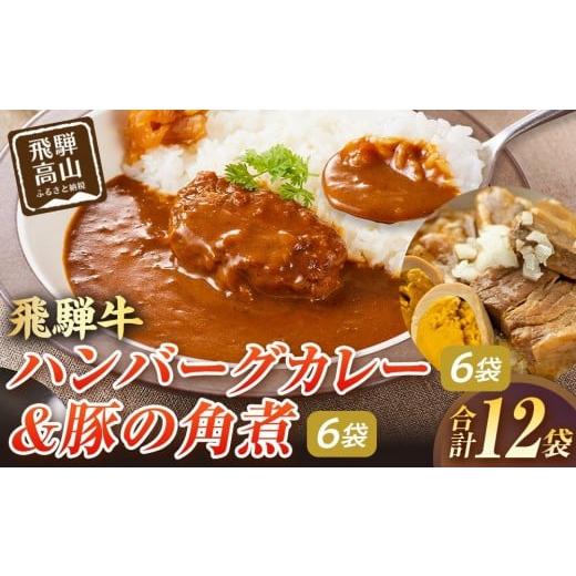 ふるさと納税 加工品等 レトルト 岐阜県 高山市 飛騨牛ハンバーグカレー 200g×6袋&豚の角煮180g×6袋 | 飛騨牛 ハンバーグ 角煮 豚角煮 肉 豚肉 グルメ 常…