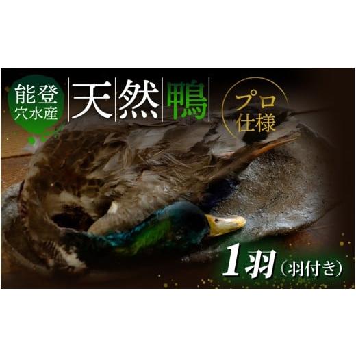 ふるさと納税 鴨肉 石川県 穴水町 能登 穴水産 天然「鴨」(羽付き)1羽 | 奥能登 能登半島 かも カモ お肉 鴨肉 天然 冷凍 国産 羽つき 食品 お取り寄せ