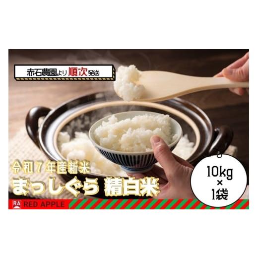 ふるさと納税 米 青森県 弘前市 新米 まっしぐら 白米 10kg 青森米 令和7年産 青森県 弘前市