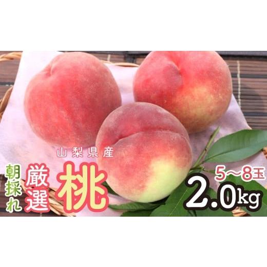 ふるさと納税 もも 山梨県 昭和町 2026年発送 朝採れ 厳選 山梨県産 桃2Kg 5〜8玉 SWCM001-2kg