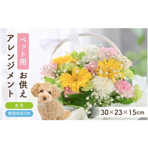 ふるさと納税 雑貨・日用品 花 福井県 坂井市 ペット用御供アレンジメント 1点 性別対応可能 お花 フラワー アレジメント 花束 生花 花 洋花 ペット 愛犬 愛猫…