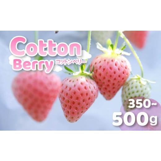 ふるさと納税 果物の詰合せ 奈良県 奈良市 いちご コットンベリー 約500g 250g×2パック まるで キャンディー 2026年2月発送 冷蔵 小分け 果物 スイーツ デザ…