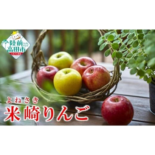 ふるさと納税 りんご 岩手県 陸前高田市 [旬のりんごをお届け ] 米崎りんご 約2.5kg 品種おまかせ 数量限定 りんご リンゴ 林檎 産地直送 新鮮 岩手 陸前高…