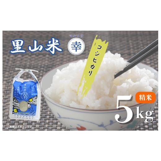 ふるさと納税 米 コシヒカリ 千葉県 匝瑳市 里山米マルコウ コシヒカリ 5kg 精米 / 米 こめ コメ お米 おこめ コシヒカリ こしひかり 令和7年産 新米 白米…