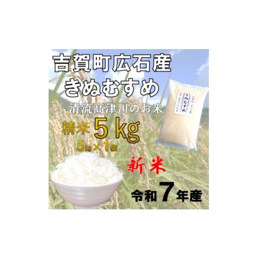 ふるさと納税 米 島根県 吉賀町 令和7年産 吉賀町広石産きぬむすめ 清流高津川のお米 精米5kg 1679139