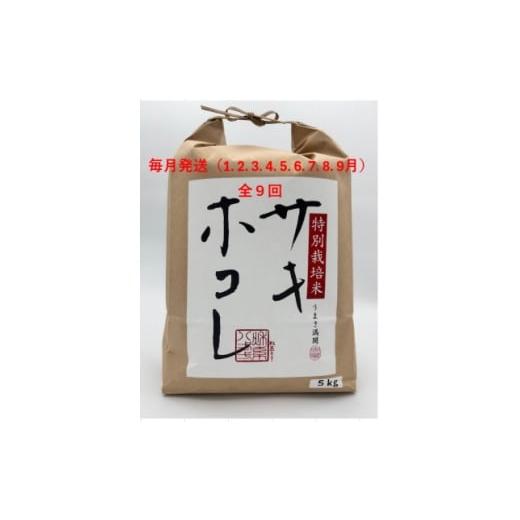 ふるさと納税 米 秋田県 大潟村 発送月固定定期便 毎月お届け 特別栽培米サキホコレ5kg全9回 4075577