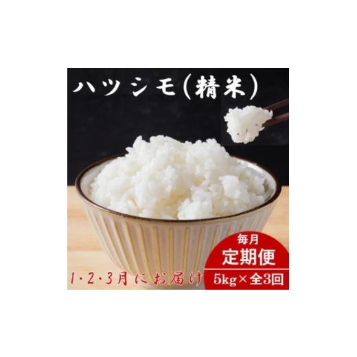 ふるさと納税 米 岐阜県 羽島市 発送月固定定期便 生産者応援 岐阜県産ハツシモ(精米)5kg 1・2・3月発送 全3回 4075500