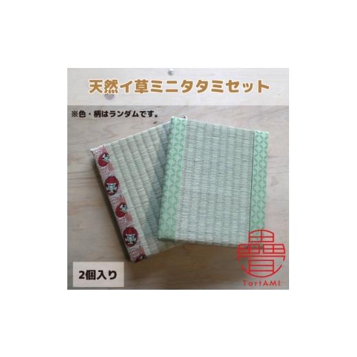 ふるさと納税 雑貨・日用品 大阪府 和泉市 大阪府和泉市 国産 ミニタタミ2点セット 天然イ草 畳 色・柄ランダム 1679551