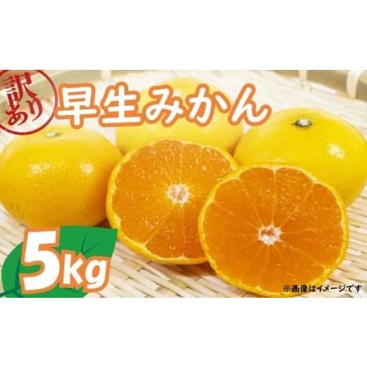 ふるさと納税 果物類 みかん 静岡県 藤枝市 2025年11月上旬〜順次発送 訳あり 早生 みかん 5kg 家庭用 早生みかん 果物 国産 フルーツ 柑橘 蜜柑 期間限定 季…