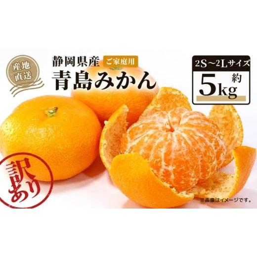 ふるさと納税 果物類 みかん 静岡県 藤枝市 2026年1月上旬〜順次発送 訳あり 青島 みかん 5kg 家庭用 青島みかん 果物 国産 フルーツ 柑橘 蜜柑 期間限定 季…