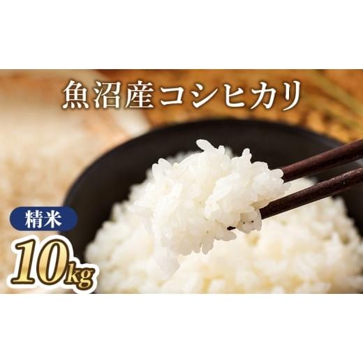 ふるさと納税 米 コシヒカリ 新潟県 魚沼市   令和7年産 魚沼産コシヒカリ(精米)10kg