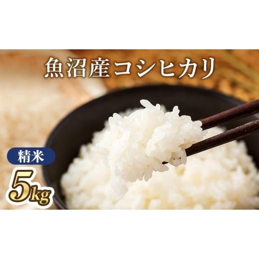 ふるさと納税 米 コシヒカリ 新潟県 魚沼市   令和7年産 魚沼産コシヒカリ(精米)5kg