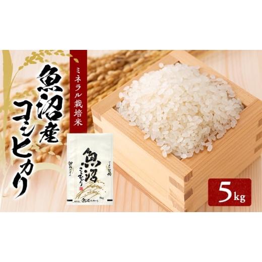 ふるさと納税 米 コシヒカリ 新潟県 魚沼市   令和7年産 魚沼産コシヒカリ ミネラル栽培米(精米)5kg
