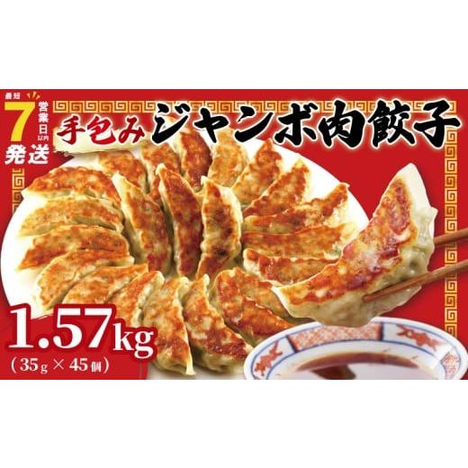 ふるさと納税 餃子 千葉県 旭市 肉餃子 手包み ジャンボ 餃子 45個 冷凍 15個 × 3パック 最短7営業日以内発送 小分け 便利 解凍不要 ぎょうざ ギョーザ 焼き…