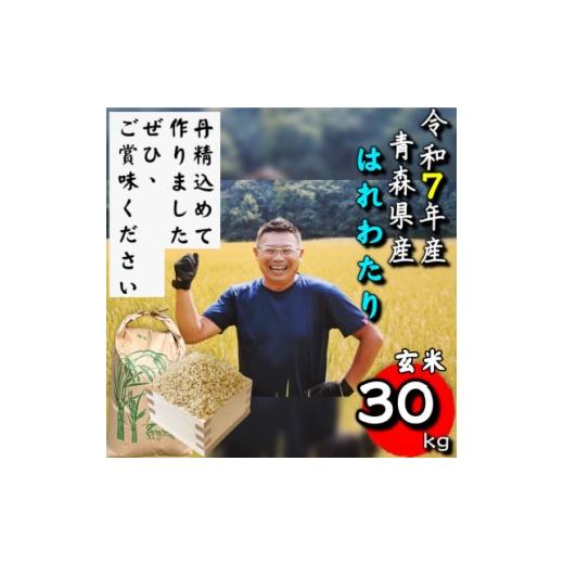 ふるさと納税 玄米 青森県 十和田市 令和7年産 青森県産はれわたり玄米30kg 1678880