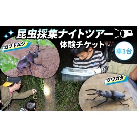 ふるさと納税 体験チケット 京都府 南山城村 優先貸切 NHKテレビで取り上げられました 先行予約 体験期間 2026年6月〜8月中旬 虫捕り名人と行く「昆虫採集ツ…
