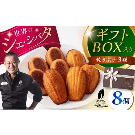 ふるさと納税 焼菓子・チョコレート マドレーヌ 岐阜県 多治見市 焼き菓子 詰め合わせ 8個入 多治見市 / シェ・シバタ スイーツ ギフト マドレーヌ