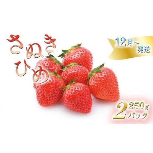 ふるさと納税 いちご 香川県 丸亀市 いちごのお姫様 さぬきひめ 12月中旬から順次発送 選べる容量 約250g×2パック 苺 いちご 果物 フルーツ 果物 ブランド さ…