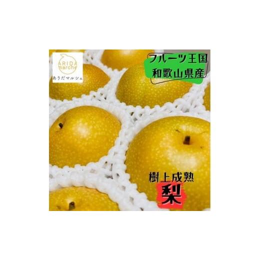 ふるさと納税 梨 和歌山県 印南町 和歌山の樹上成熟梨 約4kg(12〜15玉) 2026年8月上旬〜9月中旬頃発送予定| 先行予約 果物 フルーツ 甘い[MS129]