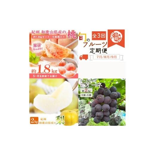 ふるさと納税 もも 和歌山県 紀美野町 全3回 紀州和歌山産旬のフルーツ定期便 (桃・梨・ピオーネ) / フルーツ 柑橘 和歌山 もも モモ 梨 なし ぶどう 葡萄 …