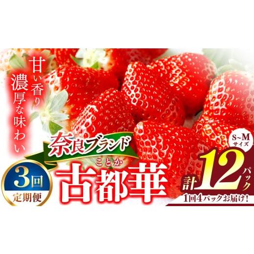 ふるさと納税 いちご 奈良県 平群町 定期便3回 いちご 平群の古都華 S〜Mサイズ 4パック(2パック×2ケース)| フルーツ 果物 くだもの ブランド いちご 苺 …