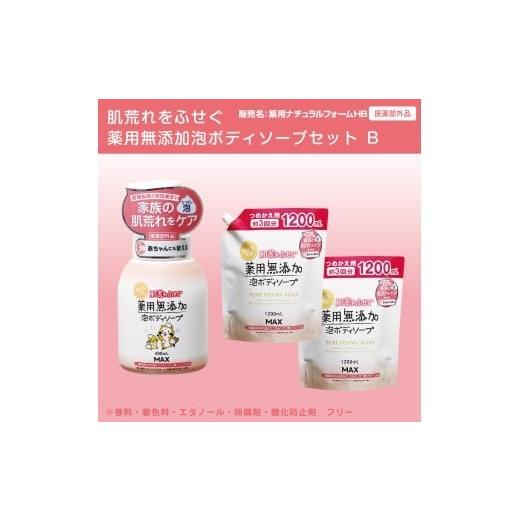 ふるさと納税 石鹸 液体せっけん 奈良県 橿原市 肌荒れを防ぐ薬用無添加 泡ボディソープセットB 無添加生活シリーズ 離島への配送不可