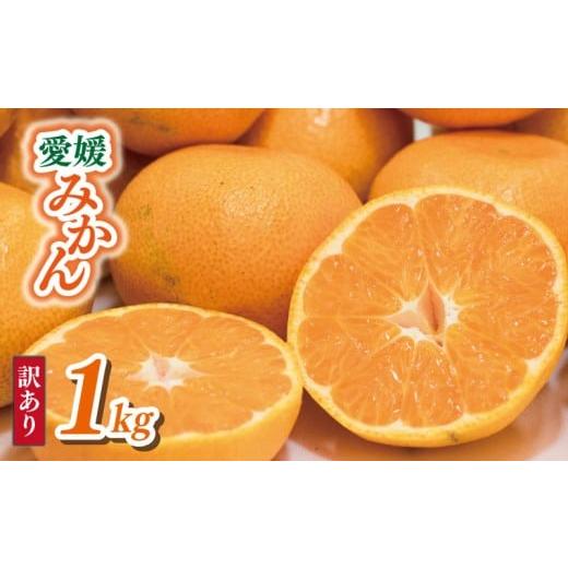 ふるさと納税 果物類 みかん 愛媛県 松山市 10月上旬から順次発送 訳あり 愛媛みかん 約1kg | えひめみかん 愛媛のみかん 温州みかん みかん 温州ミカン 柑橘…
