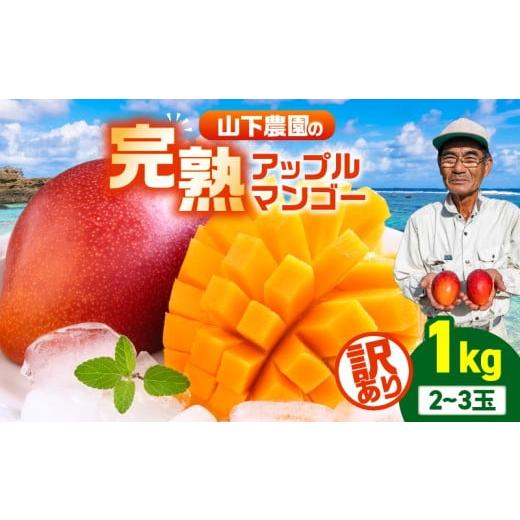ふるさと納税 マンゴー 鹿児島県 和泊町 2026年先行予約 訳あり 甘い香りの贈り物 山下農園の完熟アップルマンゴー 1kg(2〜3玉) W063-004-01