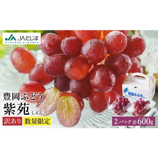 ふるさと納税 果物類 ぶどう 兵庫県 豊岡市 数量限定 訳あり 豊岡ぶどう「紫苑」 約300g×2パック 紫苑 2パック(約600g)